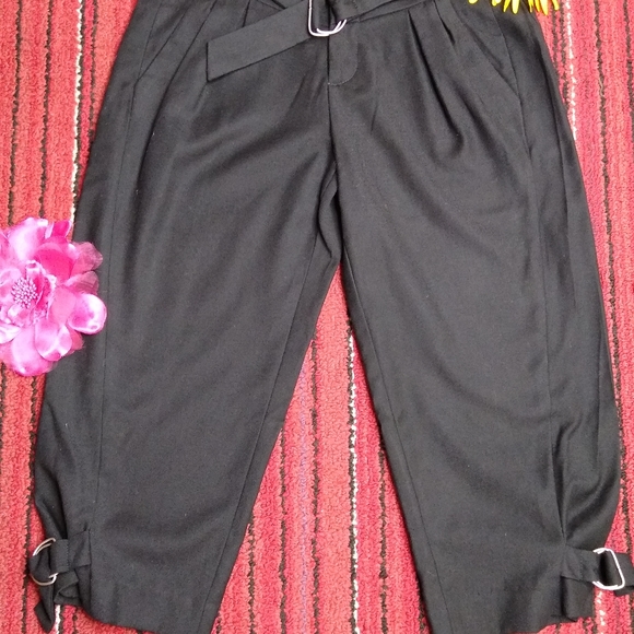 Banana Republic Stretch Cargo Crop Capri Pants 0 - Picture 4 of 7